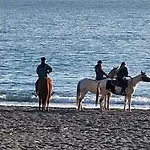 Seaview - B * Riva Trigoso