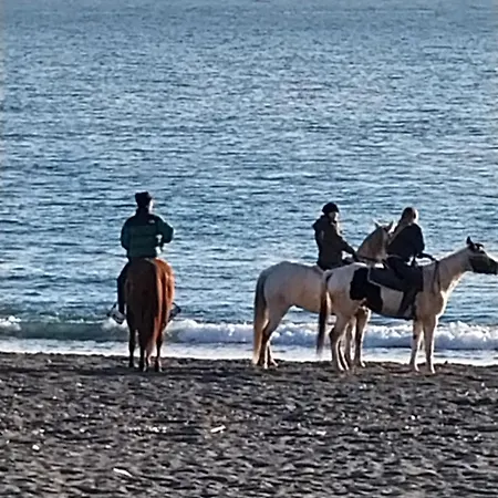 Seaview - B * Riva Trigoso