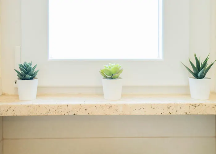 Seaview - B * Рива-Тригозо